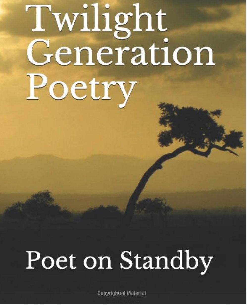 Poet on Standby Screenshot 2019 08 05 12.52.14 thumb - Poet on Standby